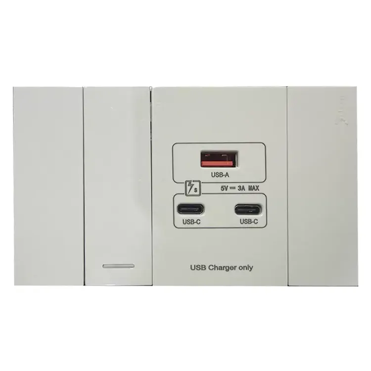1-Gang Switch with USB-A and USB-C Ports