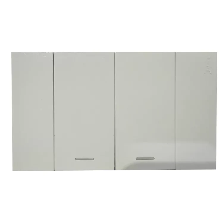 2-Gang 1-Way Wall Switch